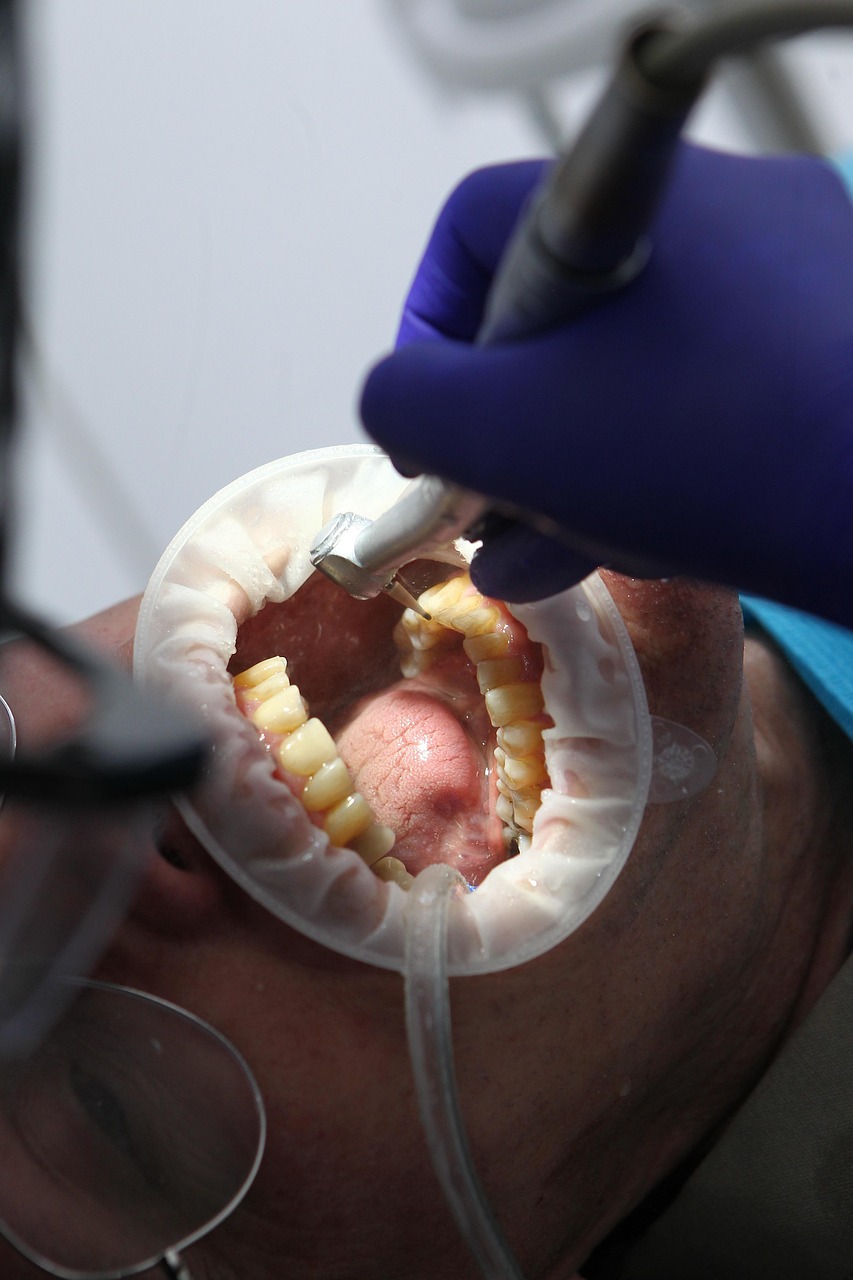 Dental practice WhatsApp business page with services and appointment booking