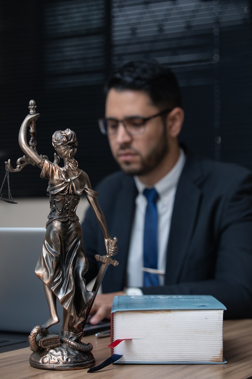 Law firm WhatsApp business page with practice areas and consultation booking